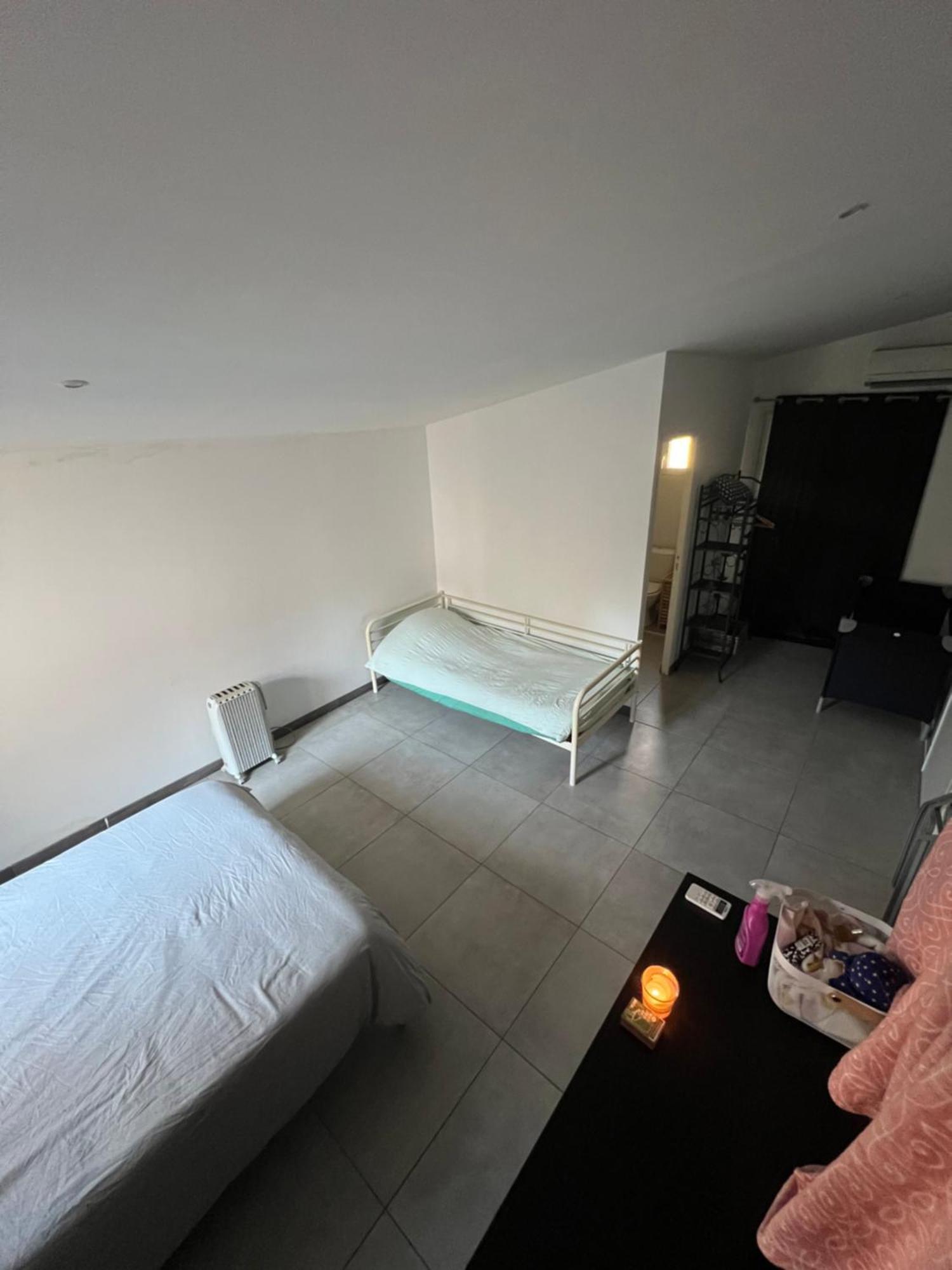 Apartment Grand Avec Terrasse Centre Arles